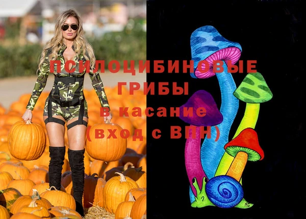 мет Алексин