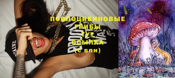 дживик Алексеевка
