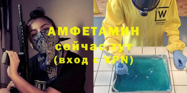 мет Алексин