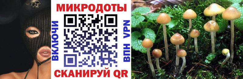 MEGA ONION  Спасск-Рязанский  Псилоцибиновые грибы Psilocybine cubensis 